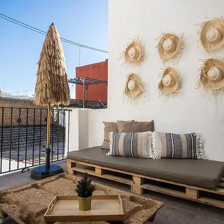 Md Jorda Roig Arena *